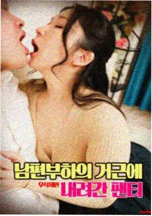 回声档案电影封面